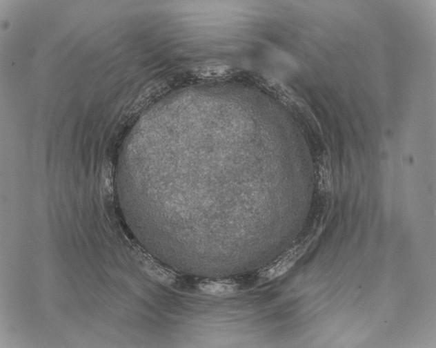 X0000072970561200608111719