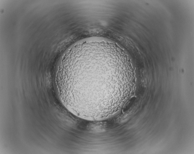 X0000072970563200608111719