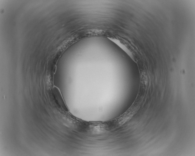 X0000072970564200608111719