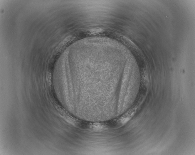 X0000072970565200608111719