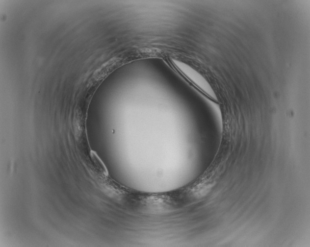 X0000072970566200608111719