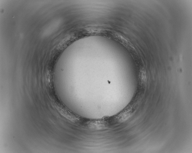 X0000072970567200608111719