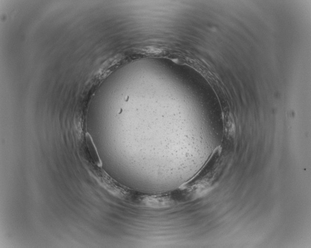 X0000072970568200608111719