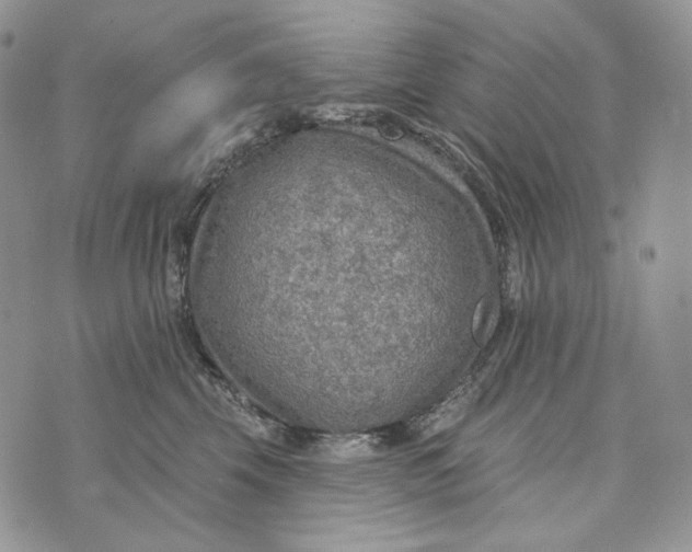 X0000072970569200608111719