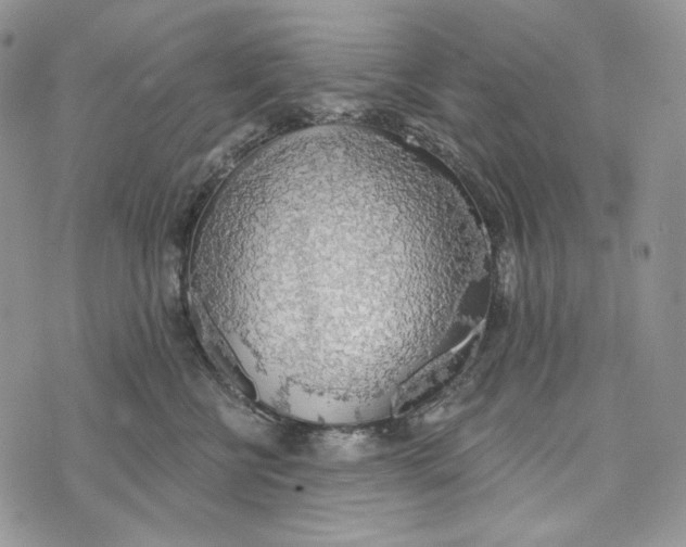 X0000072970570200608111719