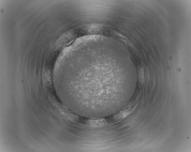 X0000072970571200608111719