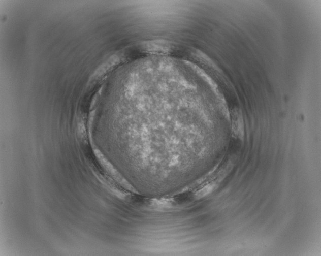 X0000072970573200608111719