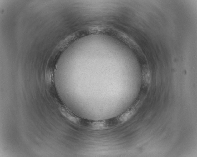 X0000072970574200608111719