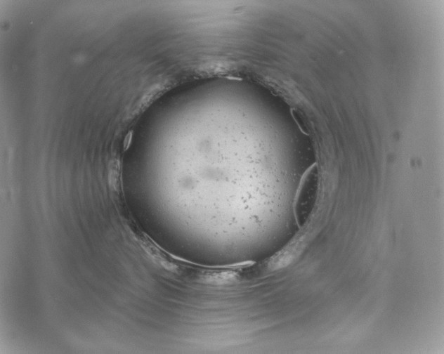 X0000072970576200608111719