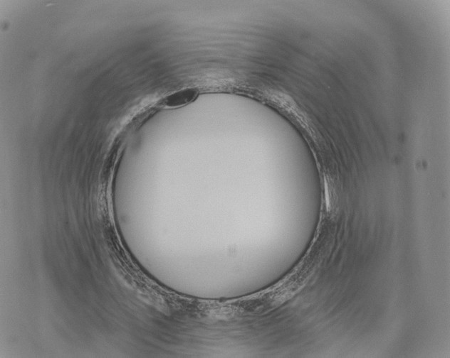 X0000072970579200608111718