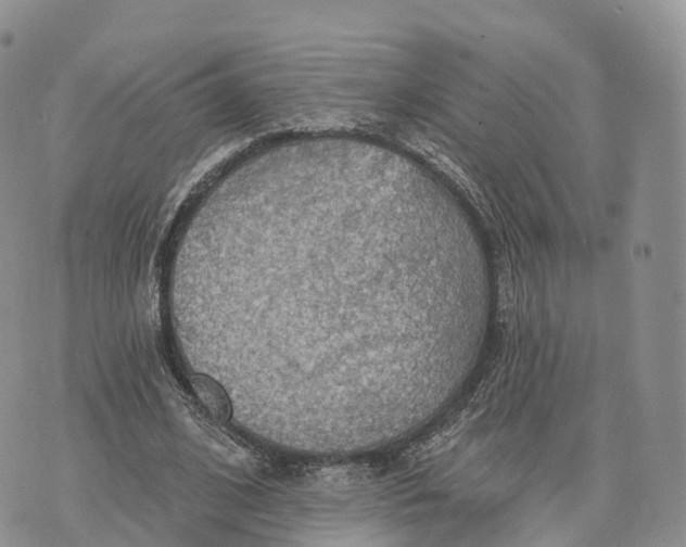 X0000072970584200608111718