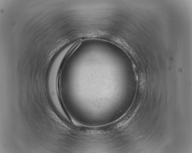 X0000072970585200608111718