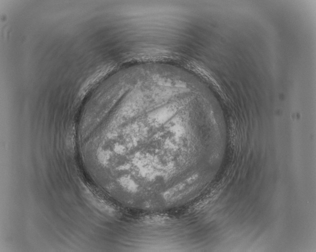 X0000072970586200608111718