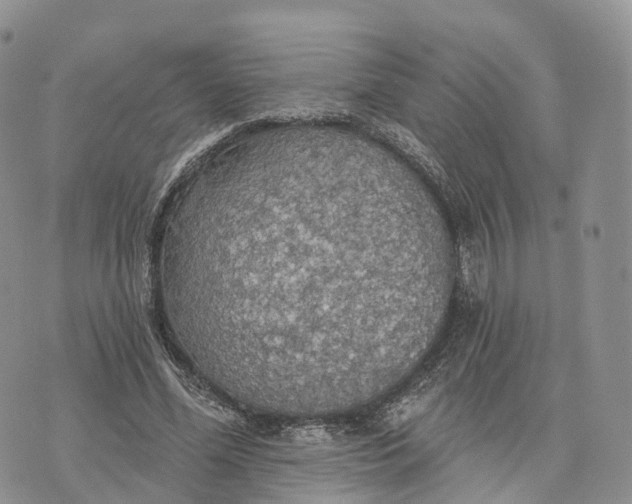 X0000072970588200608111718