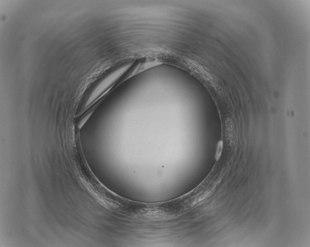 X0000072970589200608111718