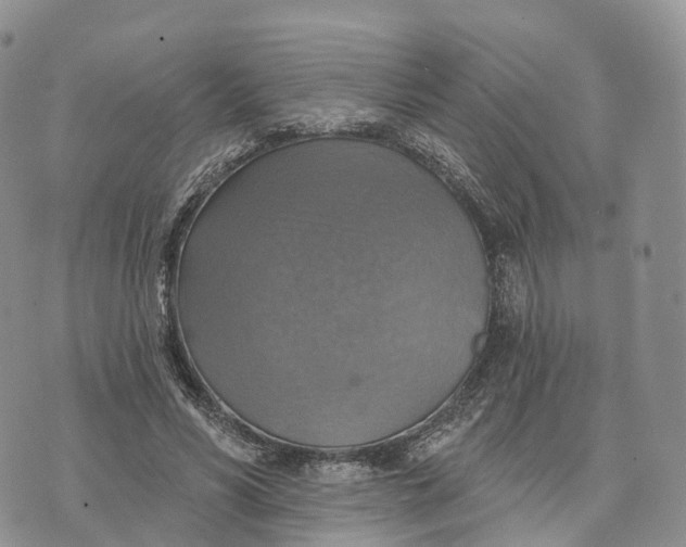 X0000072970590200608111718