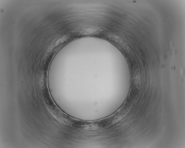 X0000072970591200608111718