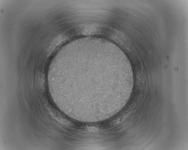 X0000072970592200608111718