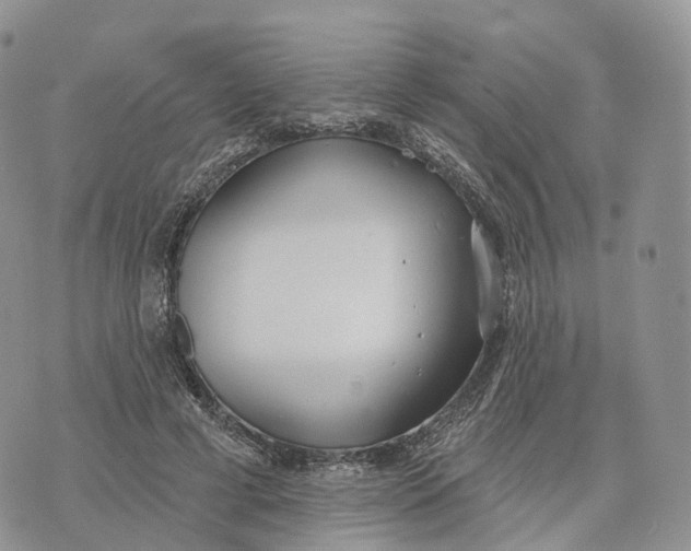 X0000072970593200608111718