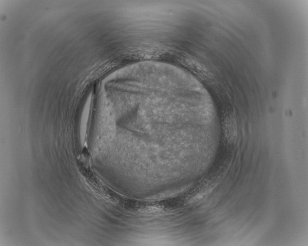 X0000072970594200608111718