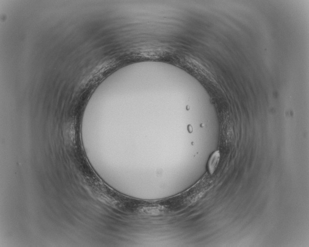 X0000072970595200608111718