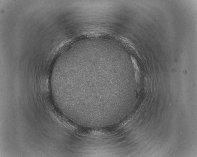 X0000072970596200608111718