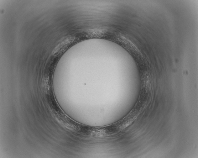 X0000072970599200608111718