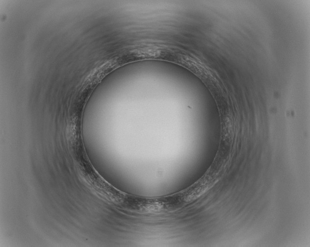 X0000072970600200608111718