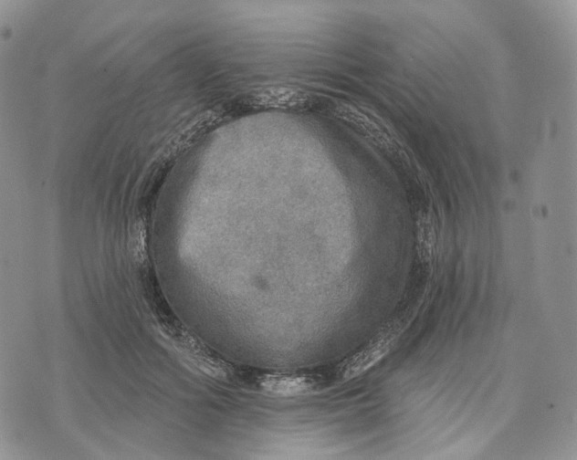 X0000072970602200608111718