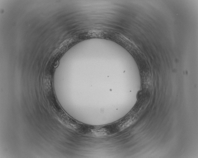 X0000072970603200608111718