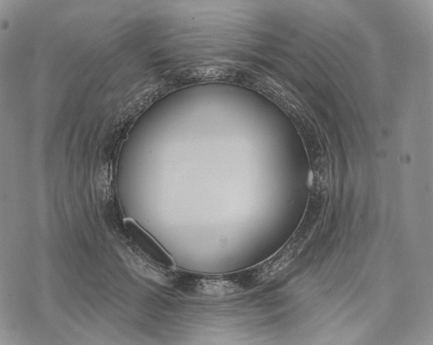 X0000072970605200608111718