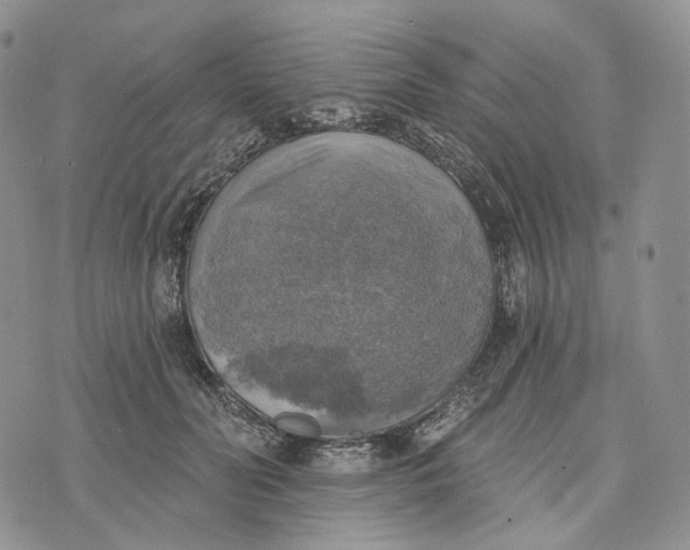 X0000072970606200608111718