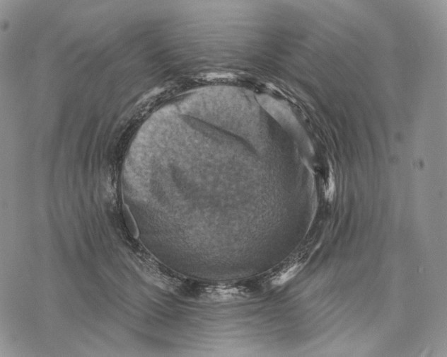 X0000072970607200608111718