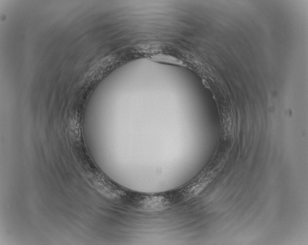 X0000072970609200608111718