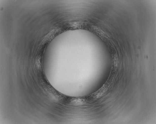 X0000072970611200608111718