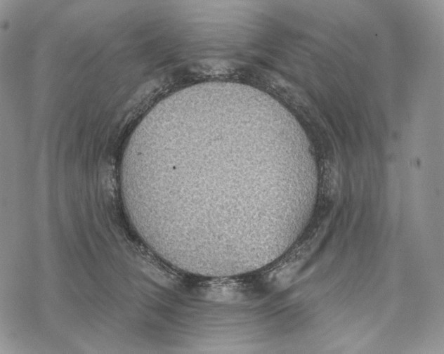 X0000072970612200608111718