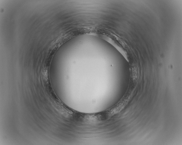 X0000072970613200608111718