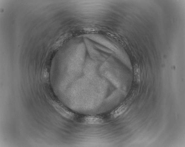 X0000072970614200608111718