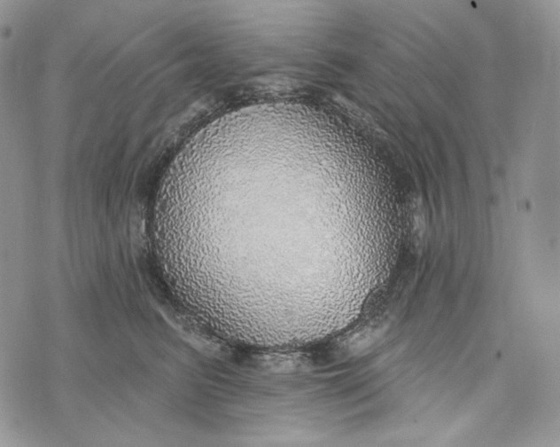 X0000072970615200608111718