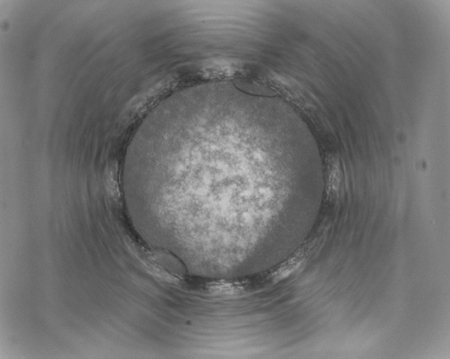 X0000072970616200608111718