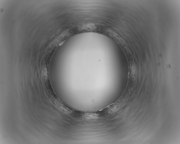 X0000072970617200608111718