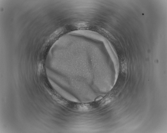 X0000072970618200608111718