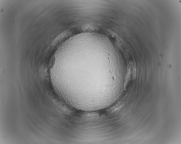 X0000072970619200608111718