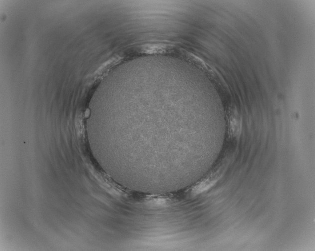 X0000072970620200608111718