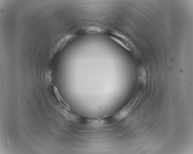 X0000072970621200608111718