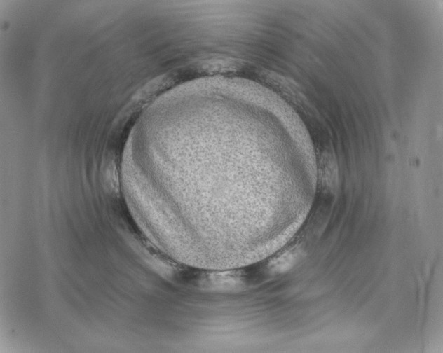 X0000072970622200608111718