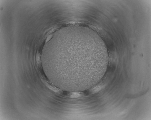 X0000072970623200608111718