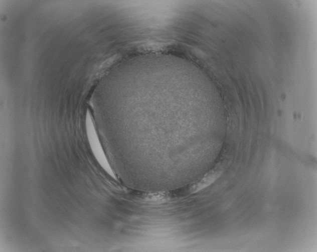 X0000072970624200608111718