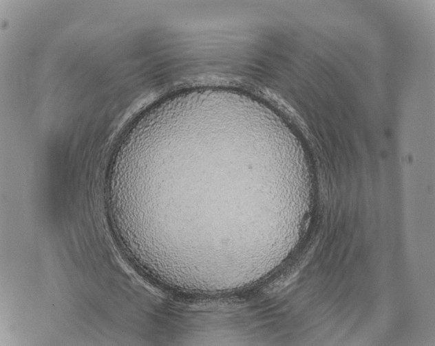 X0000072970625200608111717