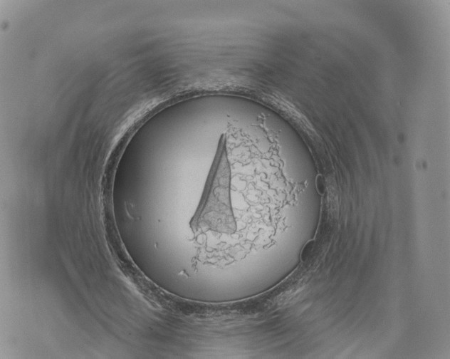 X0000072970626200608111717